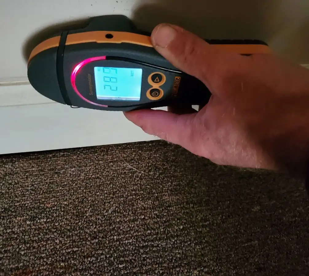 Moisture detection at baseboard during Sewage Cleanup & Sanitation in Lewistown